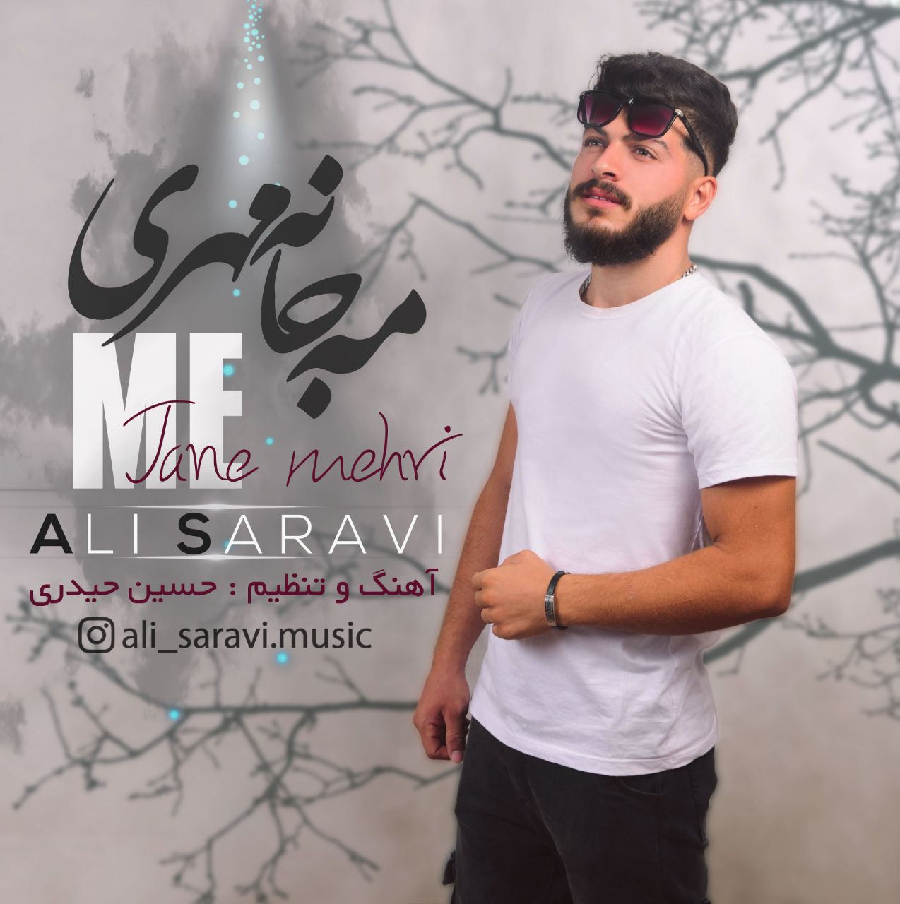 علی ساروی مه جان مهری